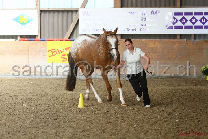 24-ApHC HIH_100.jpg